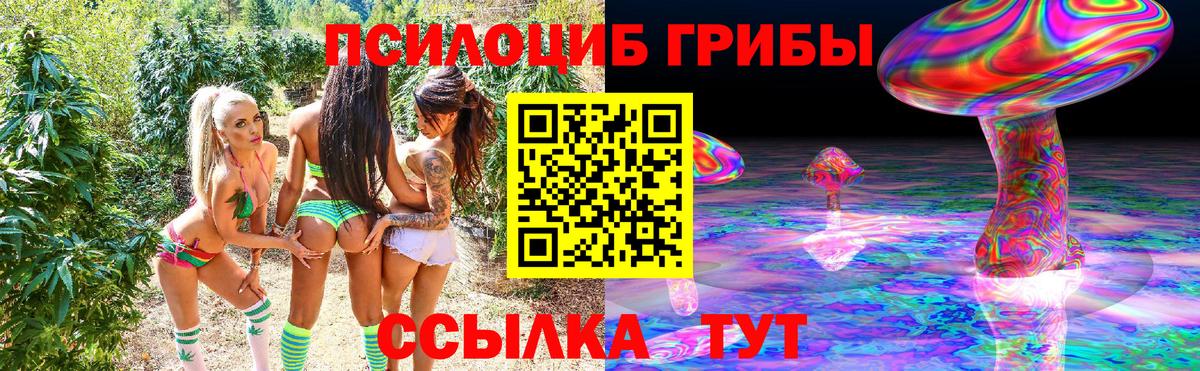 Галлюциногенные грибы GOLDEN TEACHER Советская Гавань