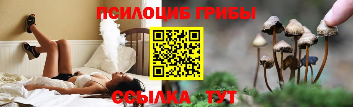 Советская Гавань  Псилоцибиновые грибы Magic Shrooms  Вход с VPN  Галлюциногенные грибы ЛСД 
